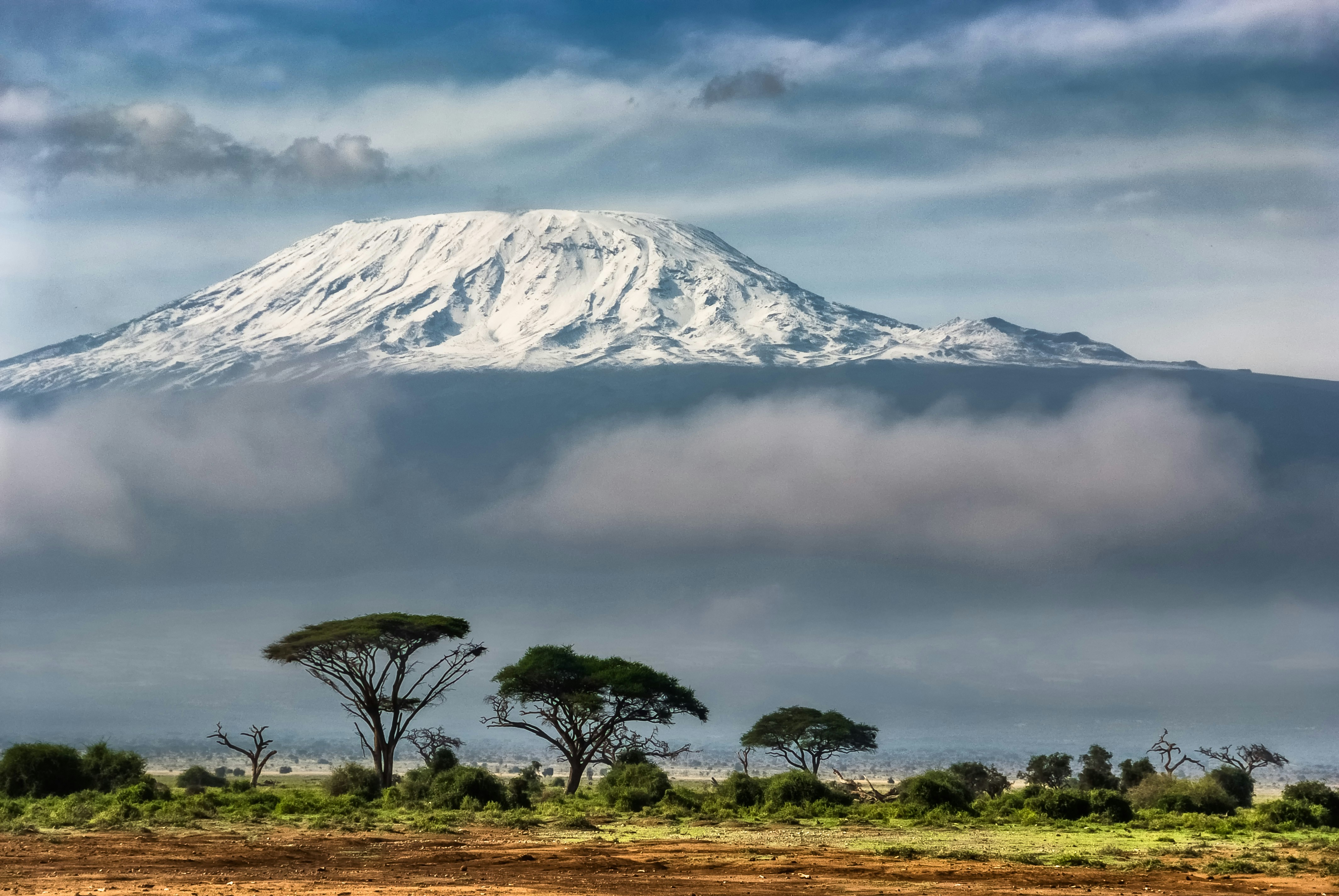 Le mont Kilimandjaro à l'horizon
